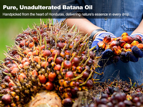 4.40lb| 2kgs WHOLESALE PURE BATANA OIL
